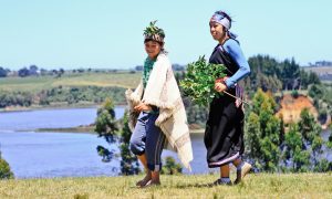 programa-patrimonio-mapuche-lago-budi-1
