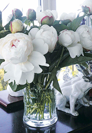 Peonias La agenda de Andrés Benítez