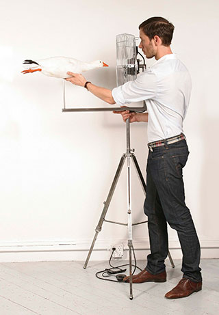 Ranking ED 2011 Revista ED