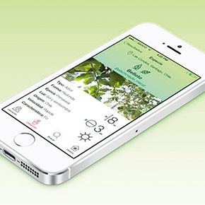 app para jardines se habla datos ed revista ed