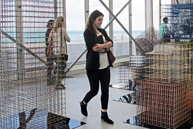 La fiebre del arte Revista ED