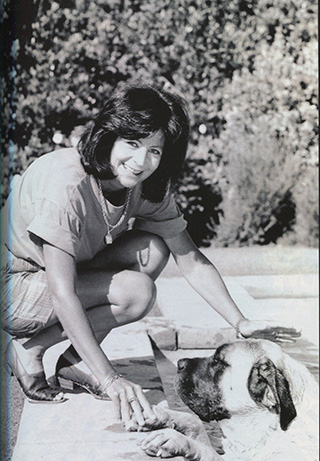 Retro flash 250 números Revista ED