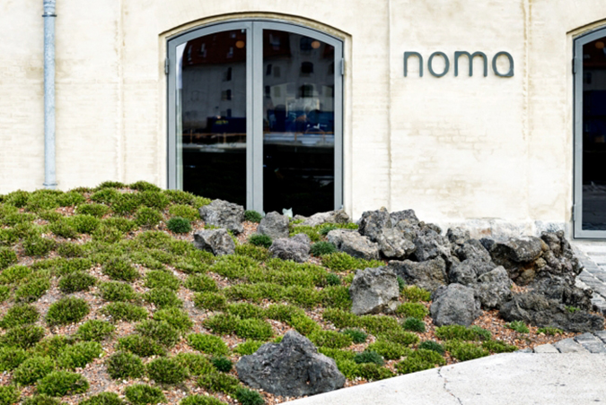 Noma (Copenhague)