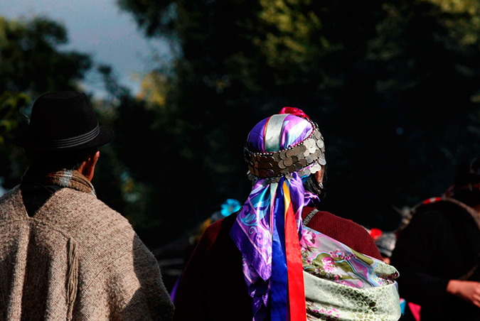 Museo Mapuche de Cañete