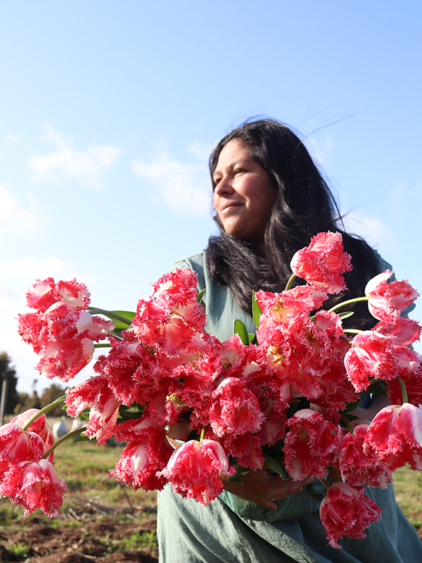 cultivo-flores-floricultura-foto-3-Camila-Salazar