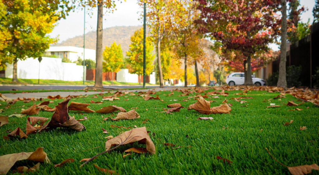 Antejardín con pasto sintético y hojas secas.