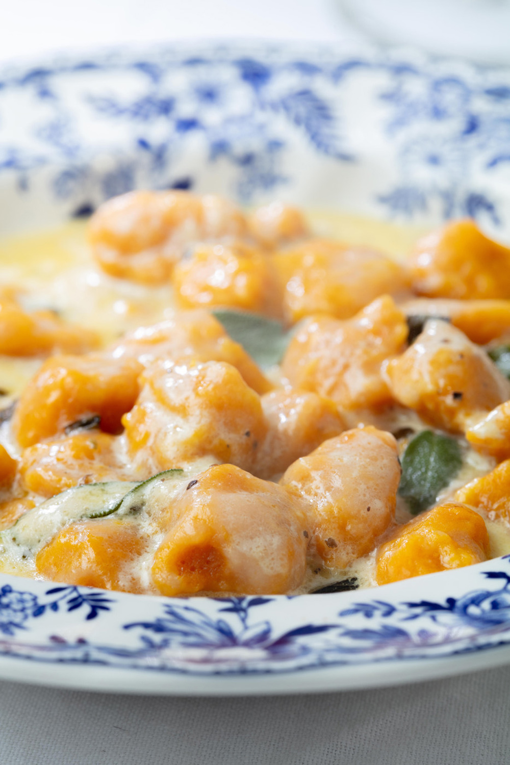 fol-cocina-gourmet-3 fol-cocina-gourmet-3