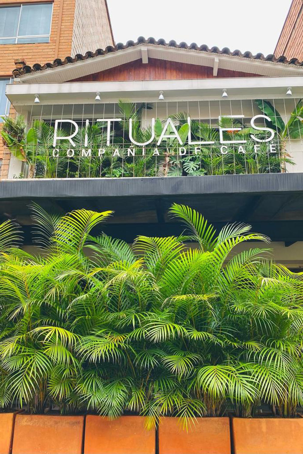 Rituales-4