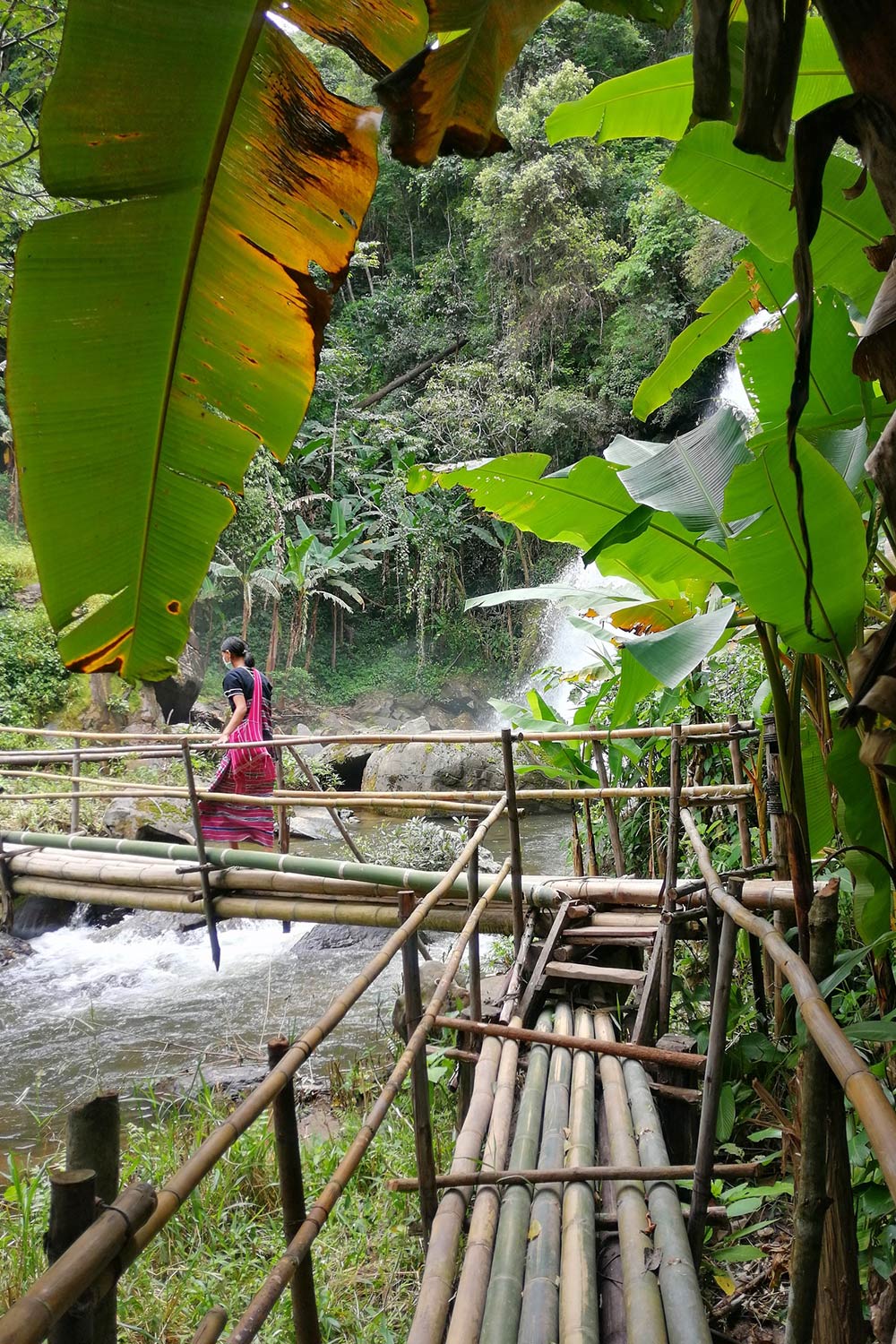 _Senderos-Parque-Nacional-Doi-Suthep,-Chiang-Mai-3