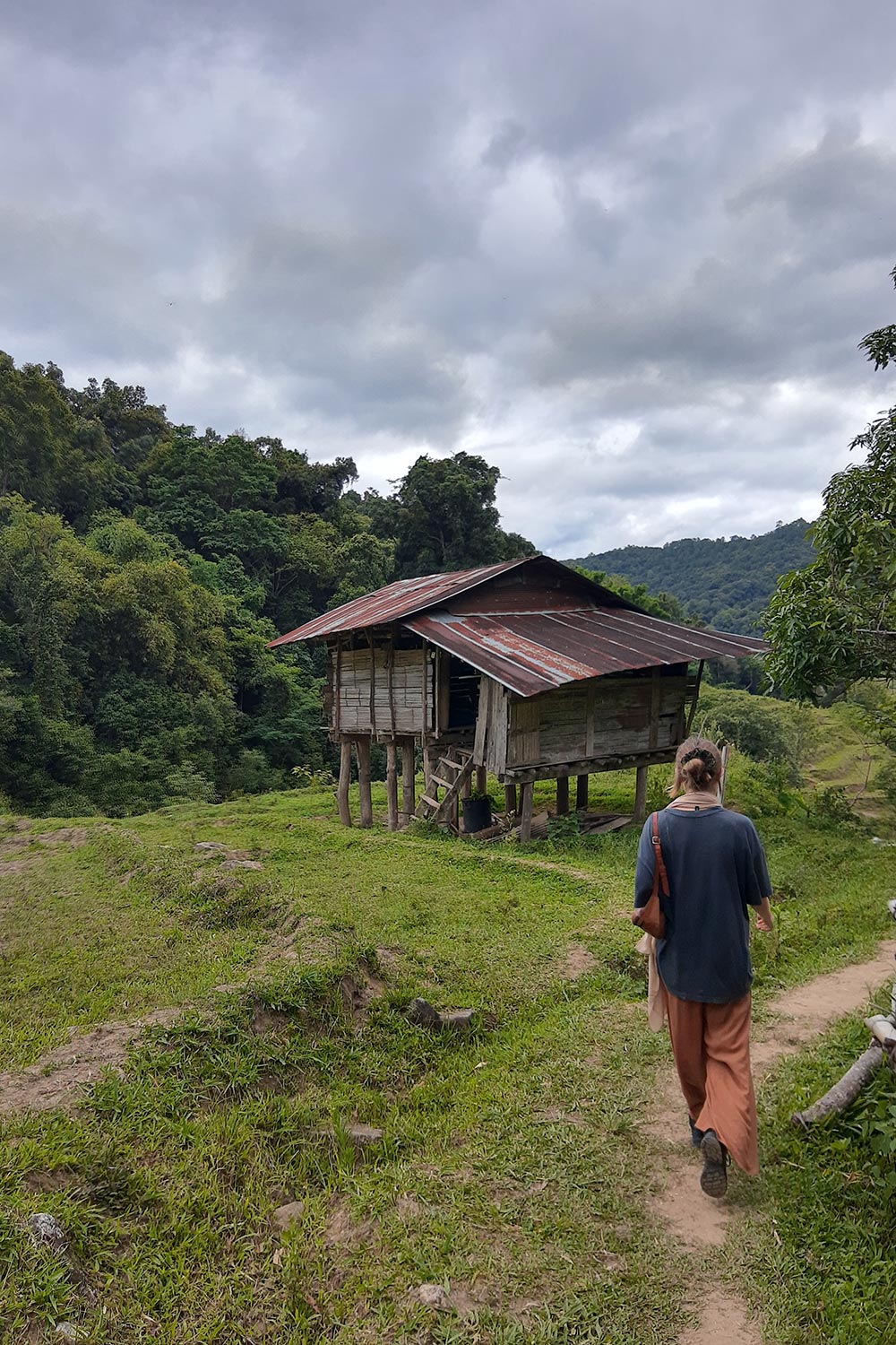 _Senderos-Parque-Nacional-Doi-Suthep,-Chiang-Mai(1)