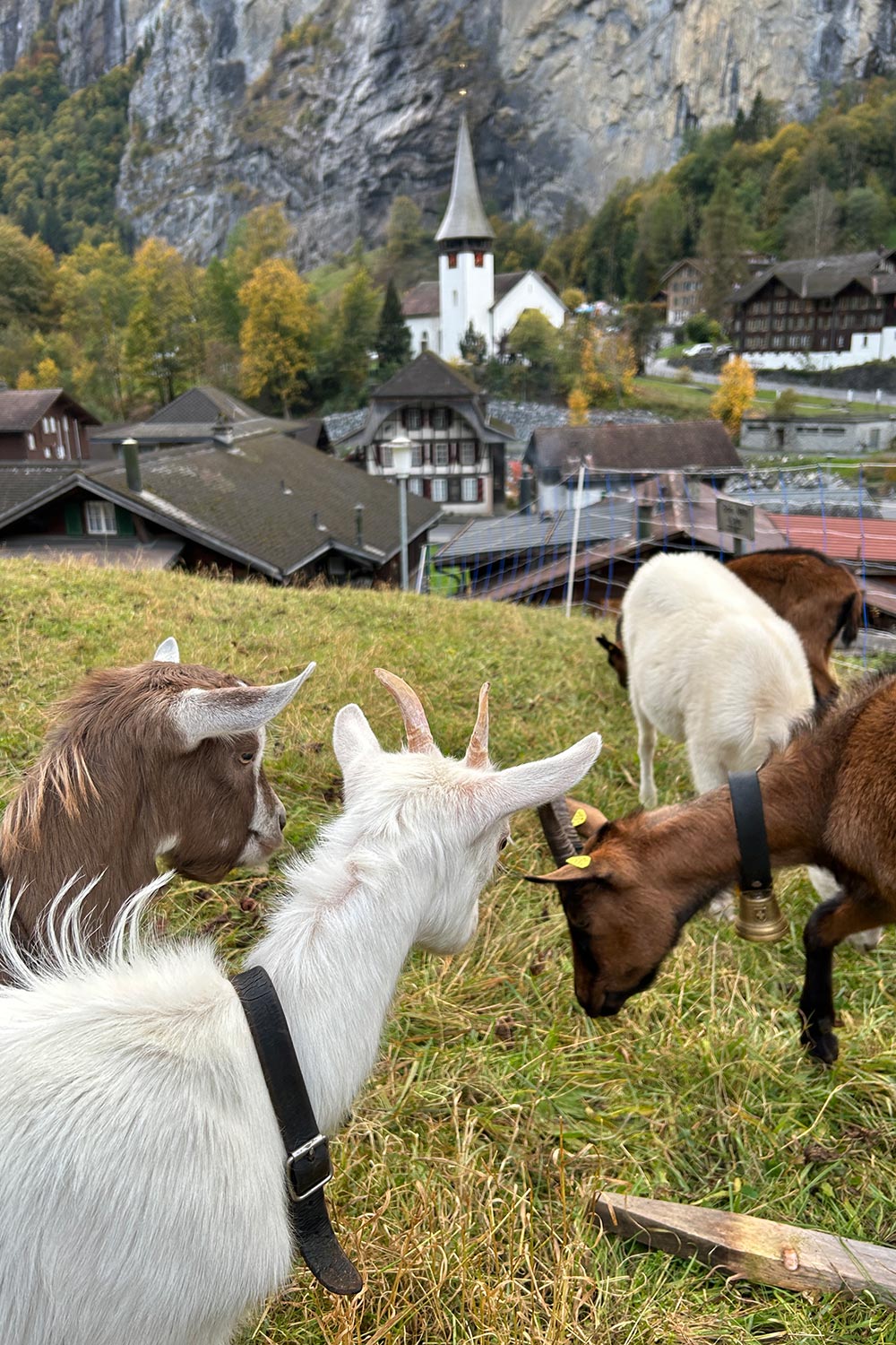 _lauterbrunnen-8