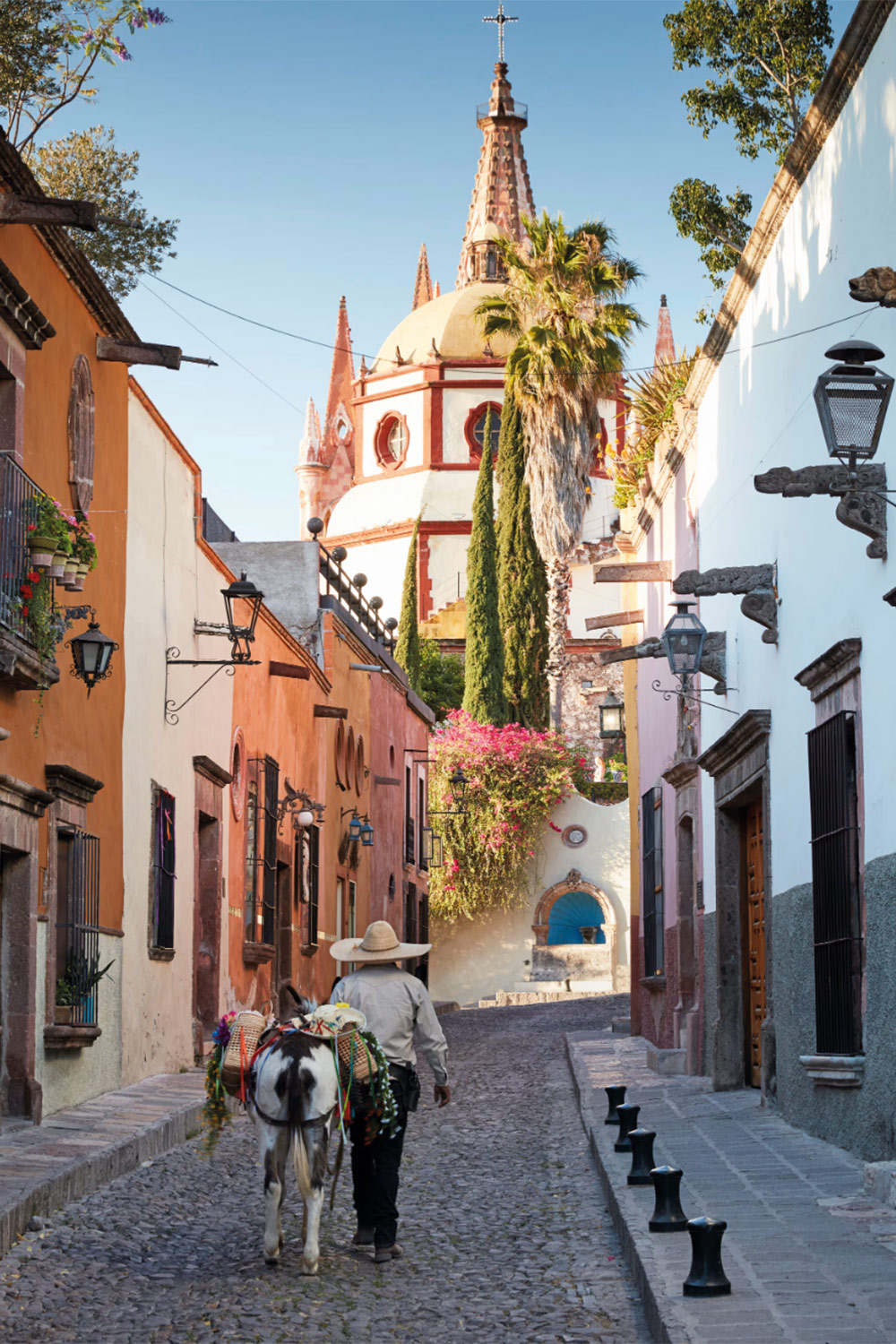 san-miguel-de-allende-sierra-nevada