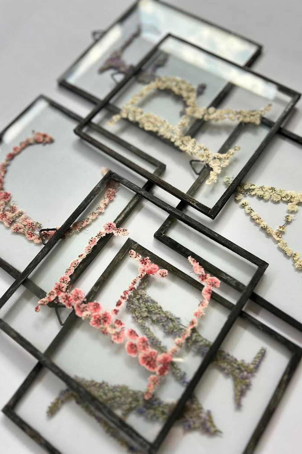 la-herbaria la-herbaria