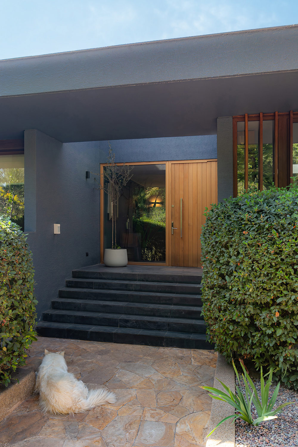roma-arquitectura-remodelaciones-13 roma-arquitectura-remodelaciones-13