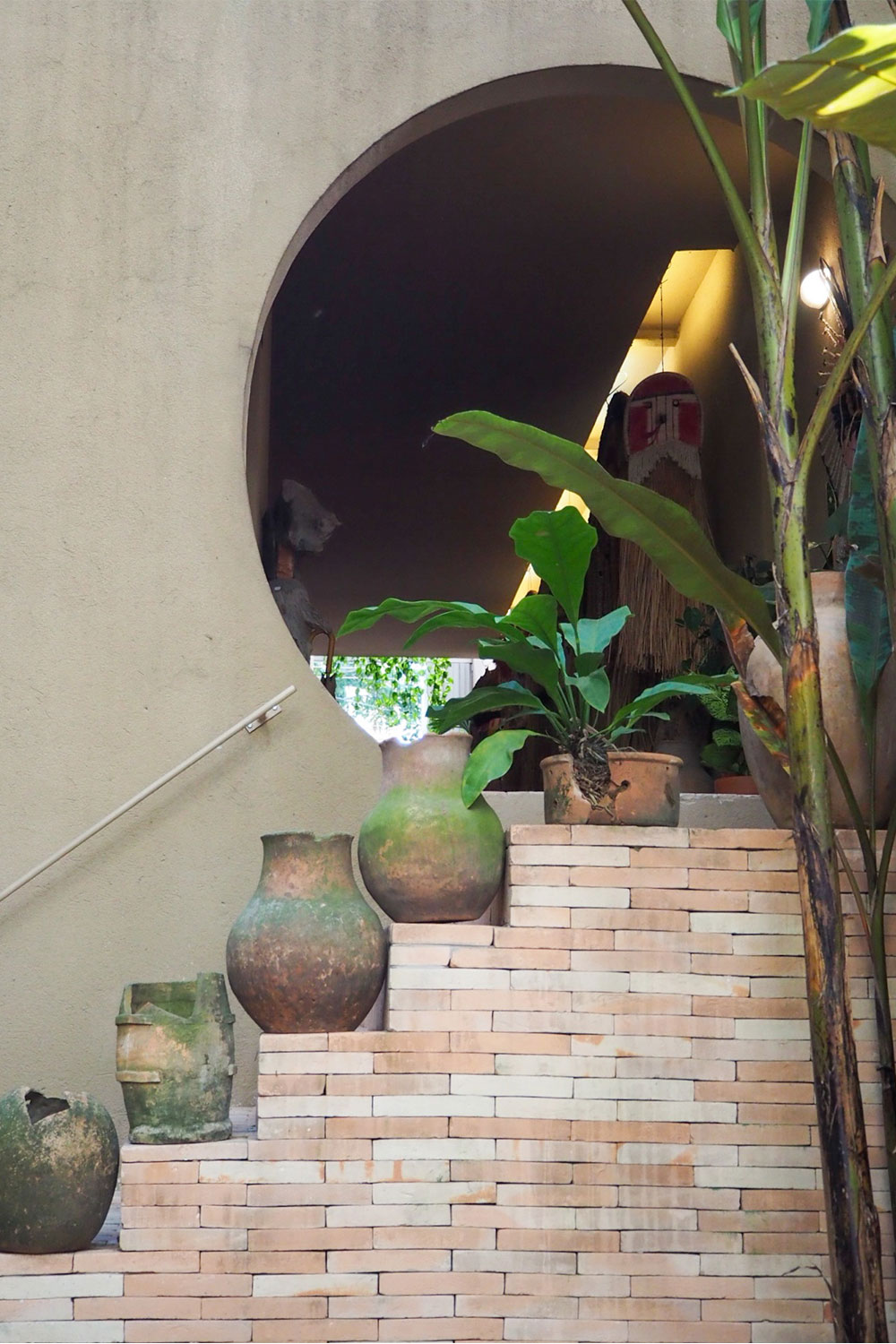 dois-tropicos-2 dois-tropicos-2