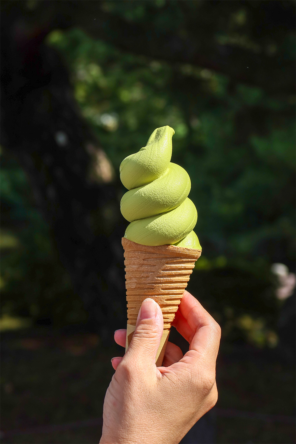 Helado-Te-matcha---Foto-Mireia-Noguer Helado-Te-matcha---Foto-Mireia-Noguer