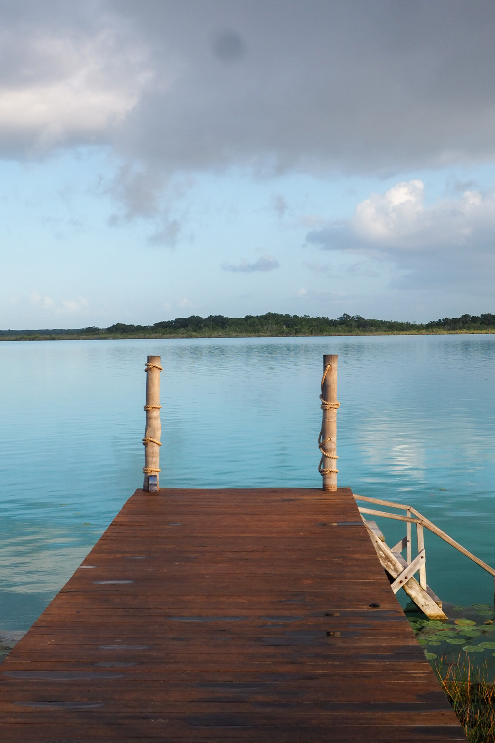muelle muelle