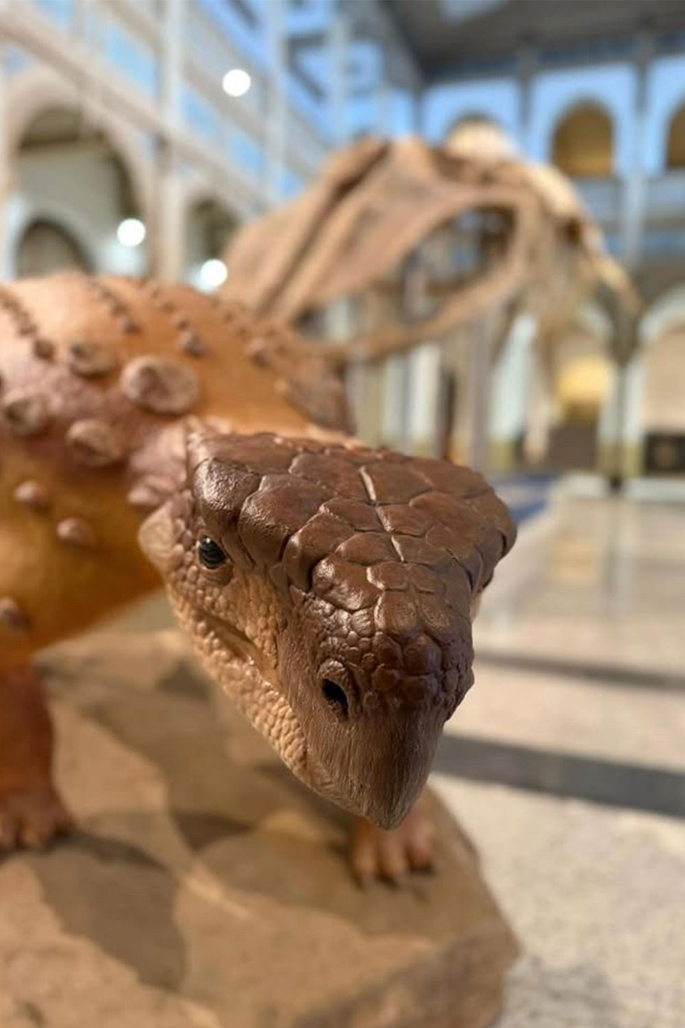 umatu-dino-2 umatu-dino-2