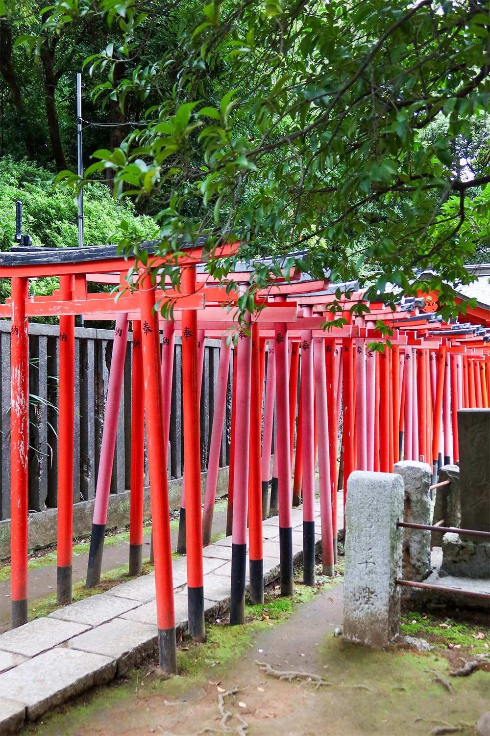 tokio-13