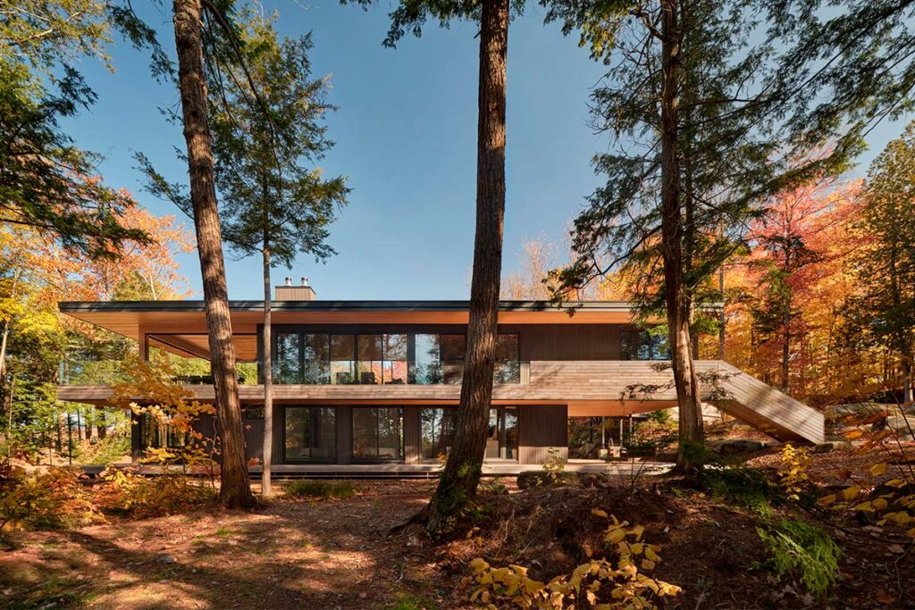 Vivir en el bosque con energía solar: una casa que se eleva entre los ...