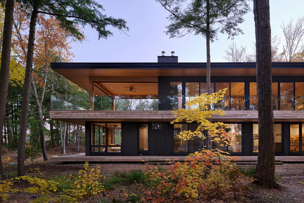 Vivir en el bosque con energía solar: una casa que se eleva entre los ...
