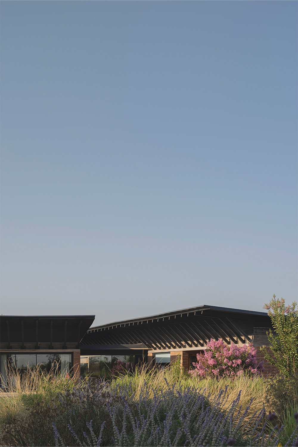 casa-8