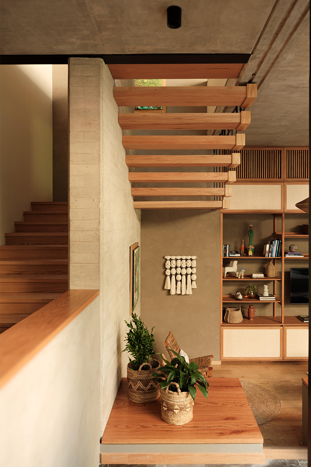 casa-3 casa-3